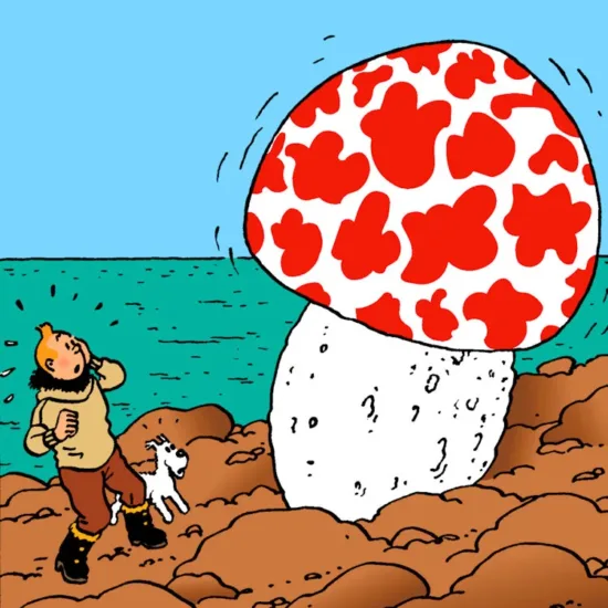 L'ile mystérieuse d'Hergé - Tintin - Réseau social gratuit Demain l'Homme, pour les amoureux de la Vie, ex Plateforme d'actualités SOS-planete, publication Web de l'association française Terre sacrée à but non lucratif