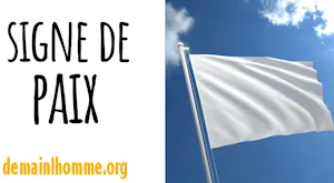 ACTION DRAPEAU BLANC: A passer sur tous vos écrans internet