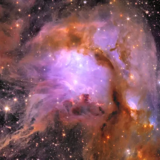 L'Agence Spatiale Européenne vient de dévoiler une image d'une pouponnière d'étoiles de notre Galaxie, à couper le souffle (Euclid)