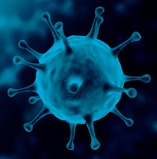 Covid - L’écocide ! Découvrons pourquoi le silence tue et comment agir pour sauver l'humanité la biosphère et la planète Terre