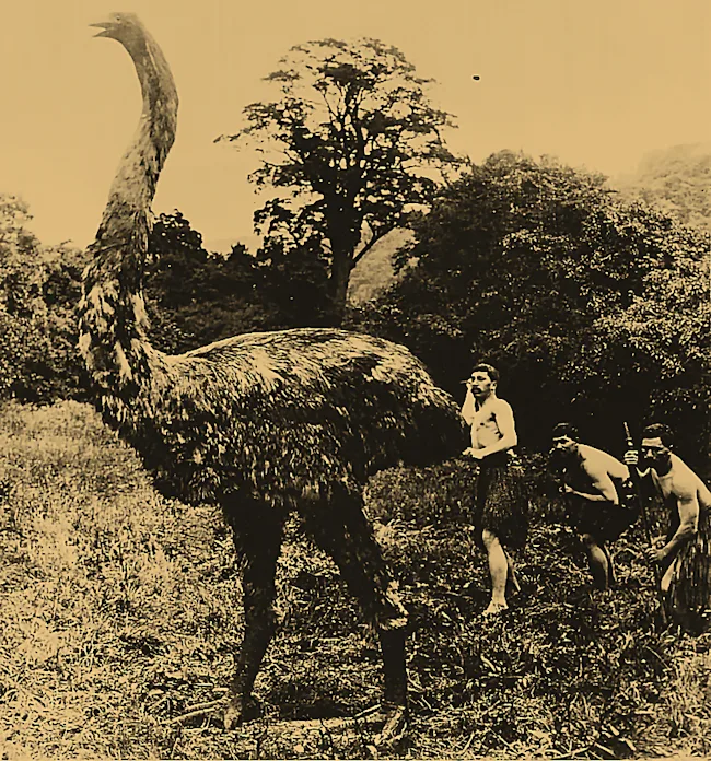 Moa géant et extinction-éclair de millions d’autres espèces - Demain l'Homme, ex SOS-planète