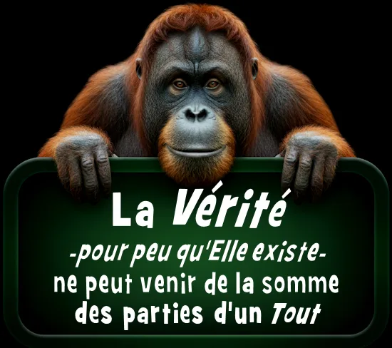 Humour - Orang-Outang : La Vérité ne peut venir de la somme des parties d'un Tout - Demain l'Homme, ex SOS-planete depuis 1999