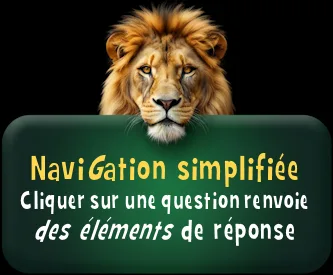 Bouton Lion - Questions aux internautes de Demain l'Homme