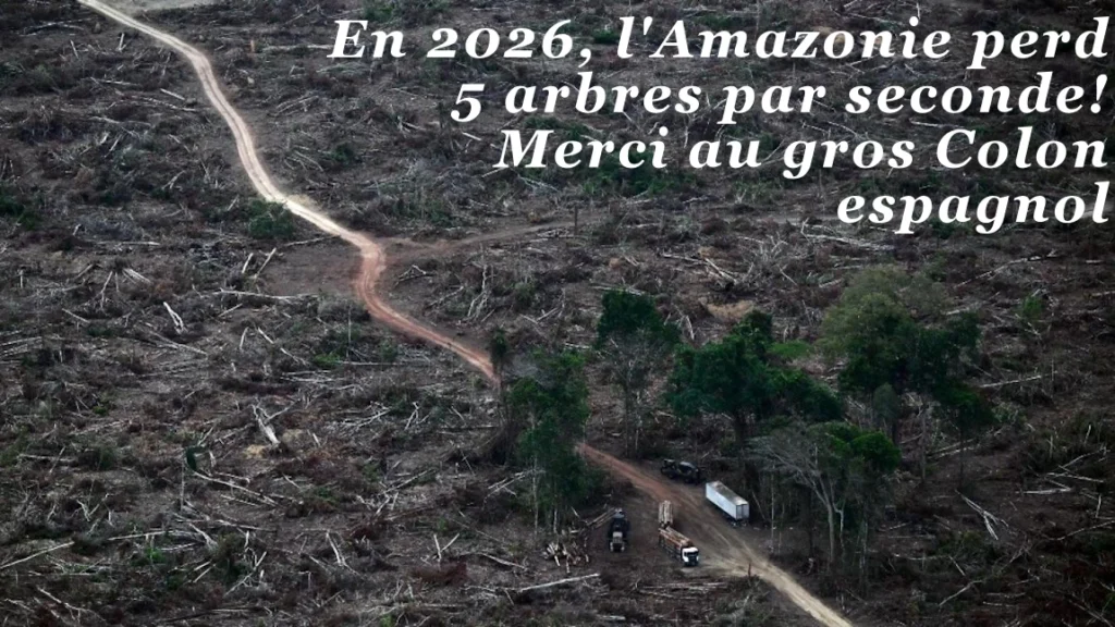 Incas : En 2026, la Pachamama amazonniene perd 5 arbres par seconde. Merci au gros colon espagnol ;o)